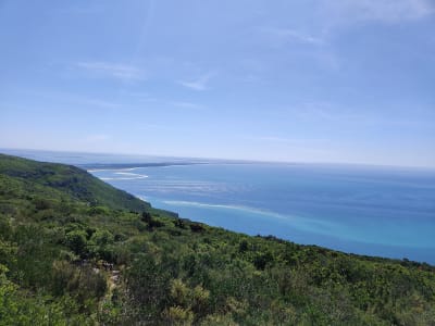 Foto 32