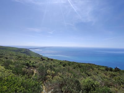 Foto 33