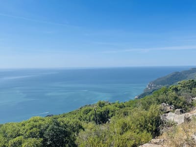 Foto 47