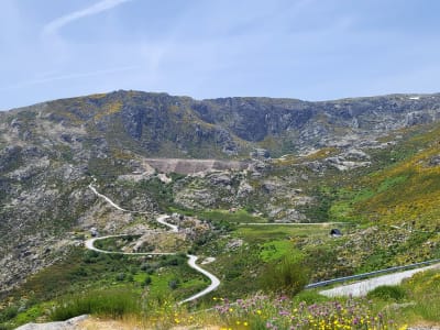 Foto 6