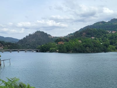 Foto 11