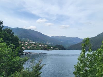 Foto 18