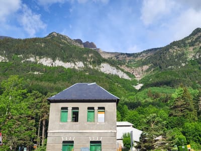 Foto 4