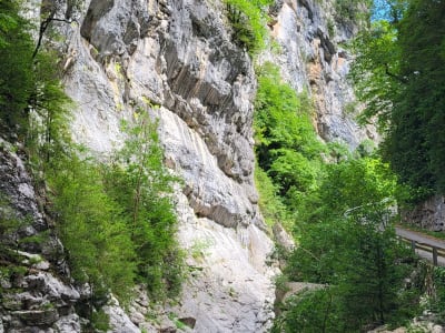 Foto 42