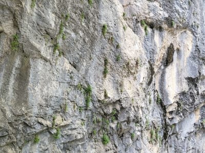 Foto 44