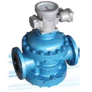 Oval Flow Meter