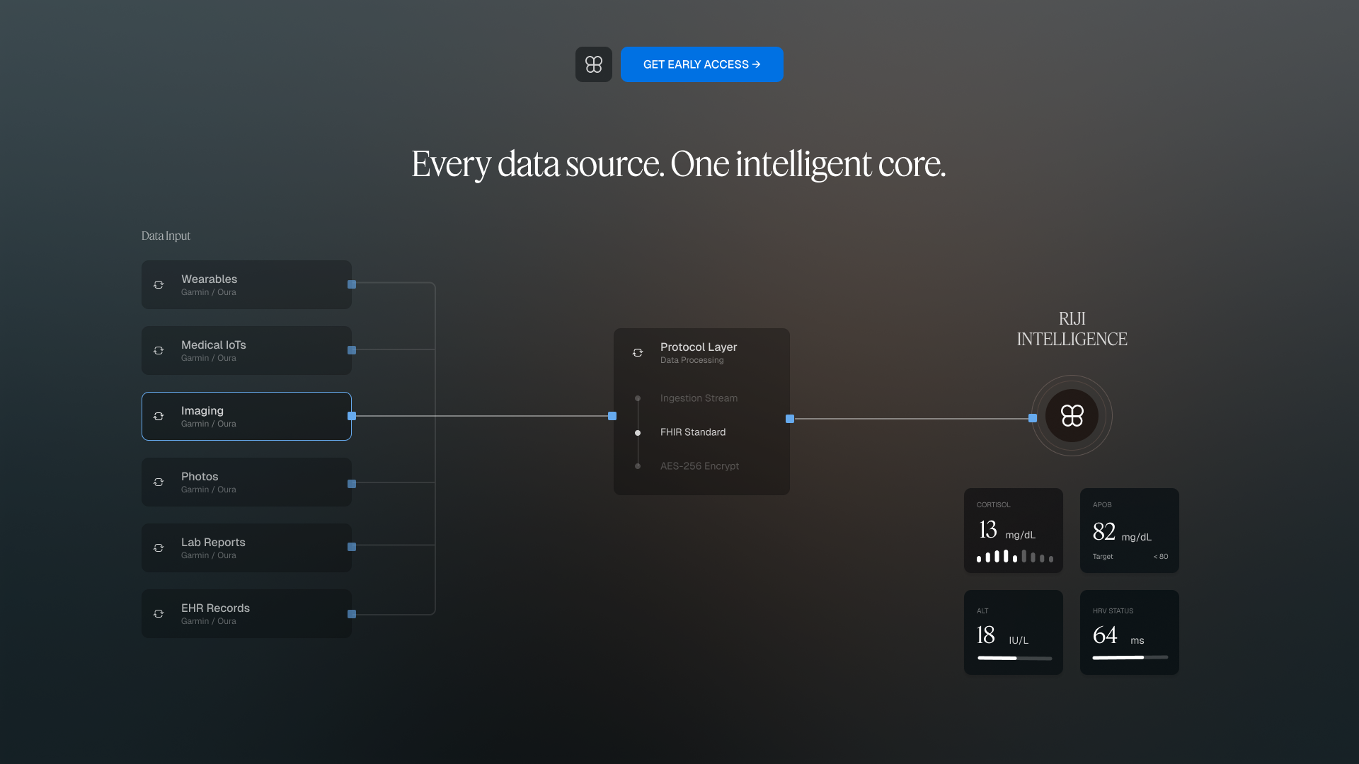 Data Architecture