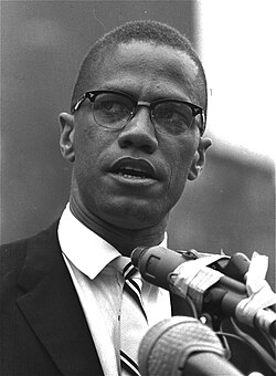 Malcolm X 