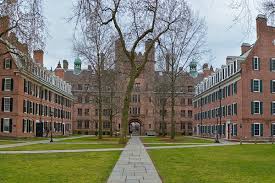 yale.jfif