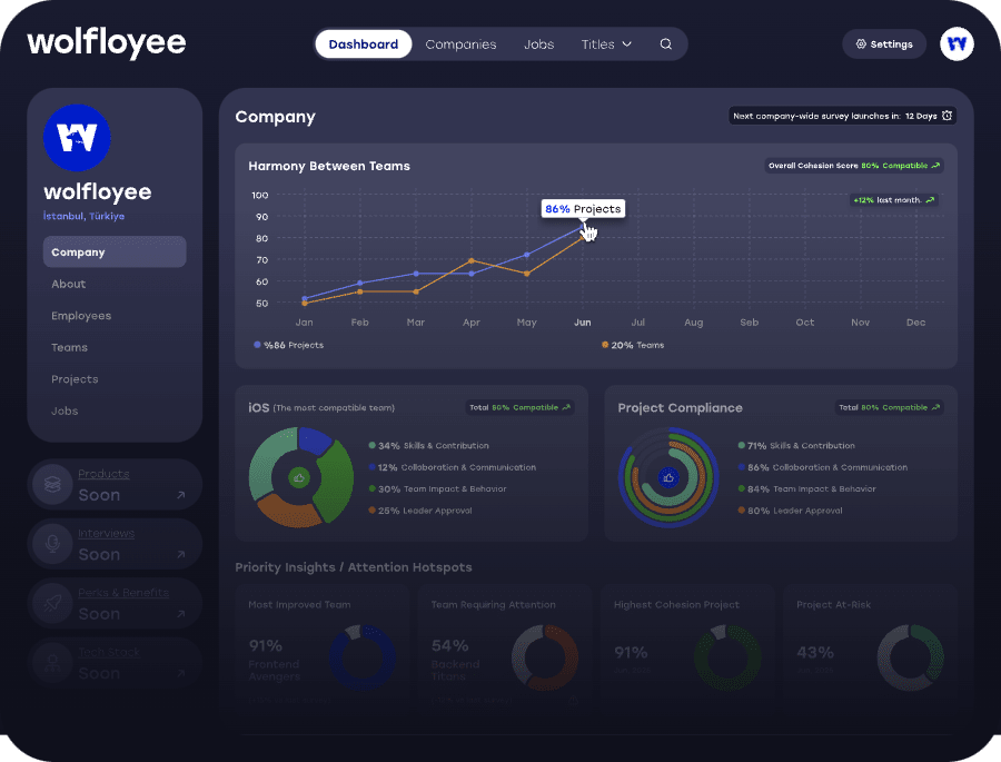 Wolfloyee company profile showing a team harmony score