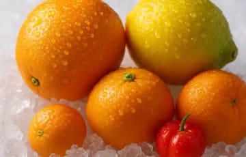 Frutas Cítricas Congeladas Premium POLONUTRI | Laranja, Limão, Tangerina, Acerola | Distribuidor Ribeirão Preto