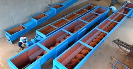 Rosca Transportadora