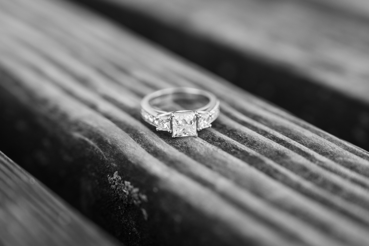 Final portrait of Brijesh and Janelle