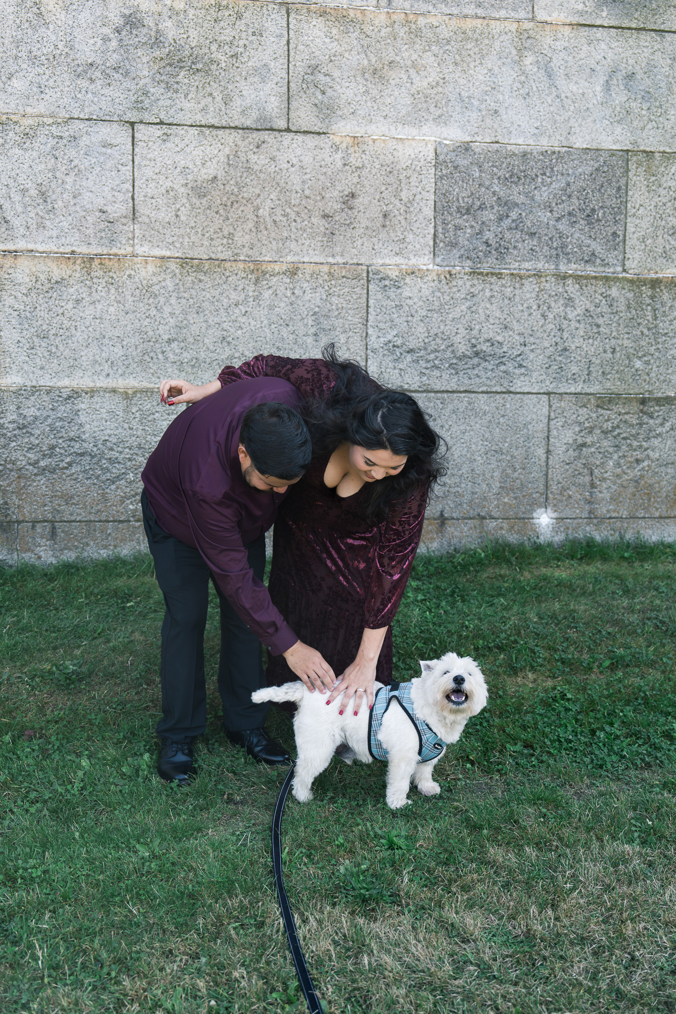 A friendly pup says hello