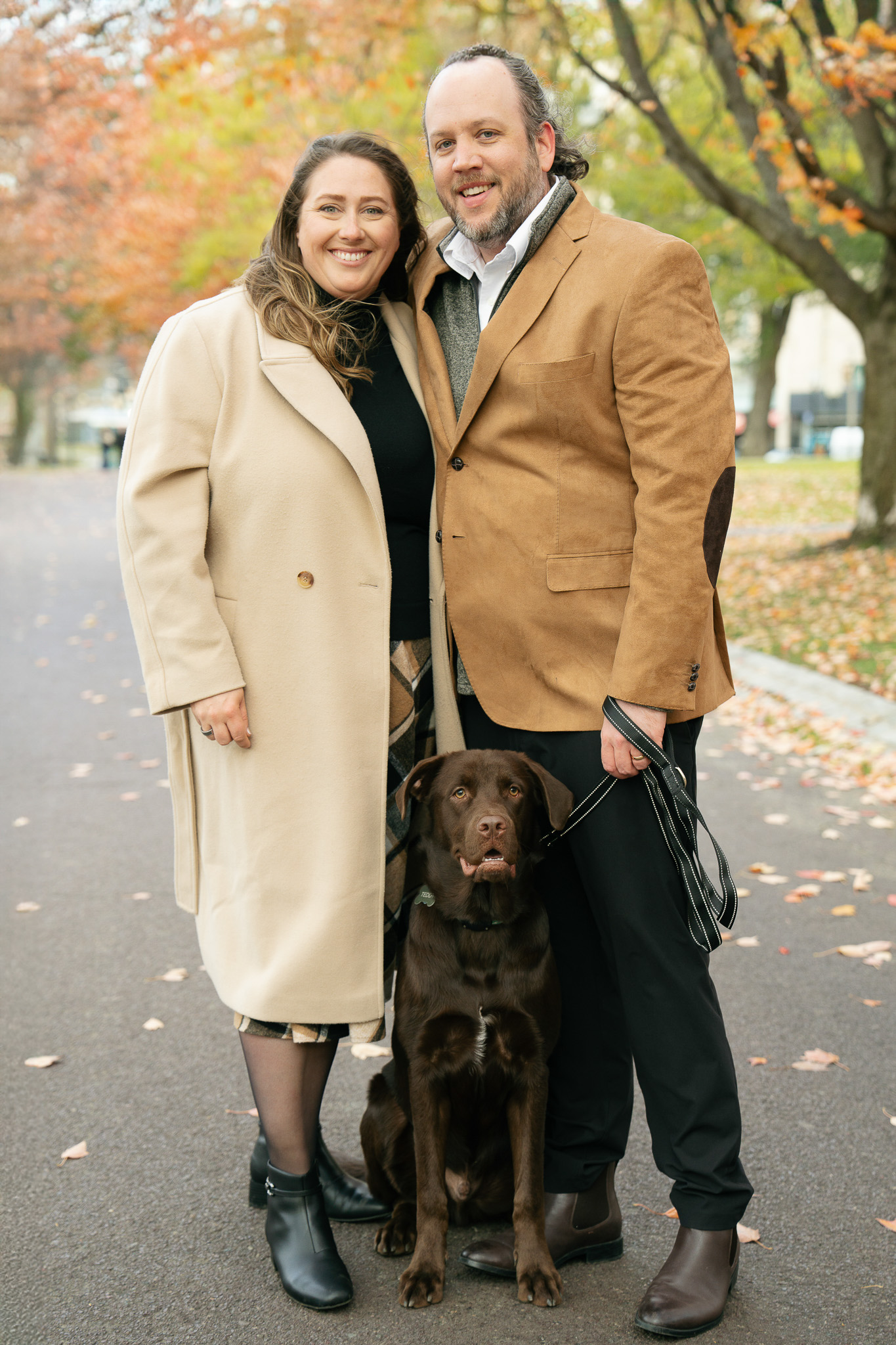 Teddy looking curious