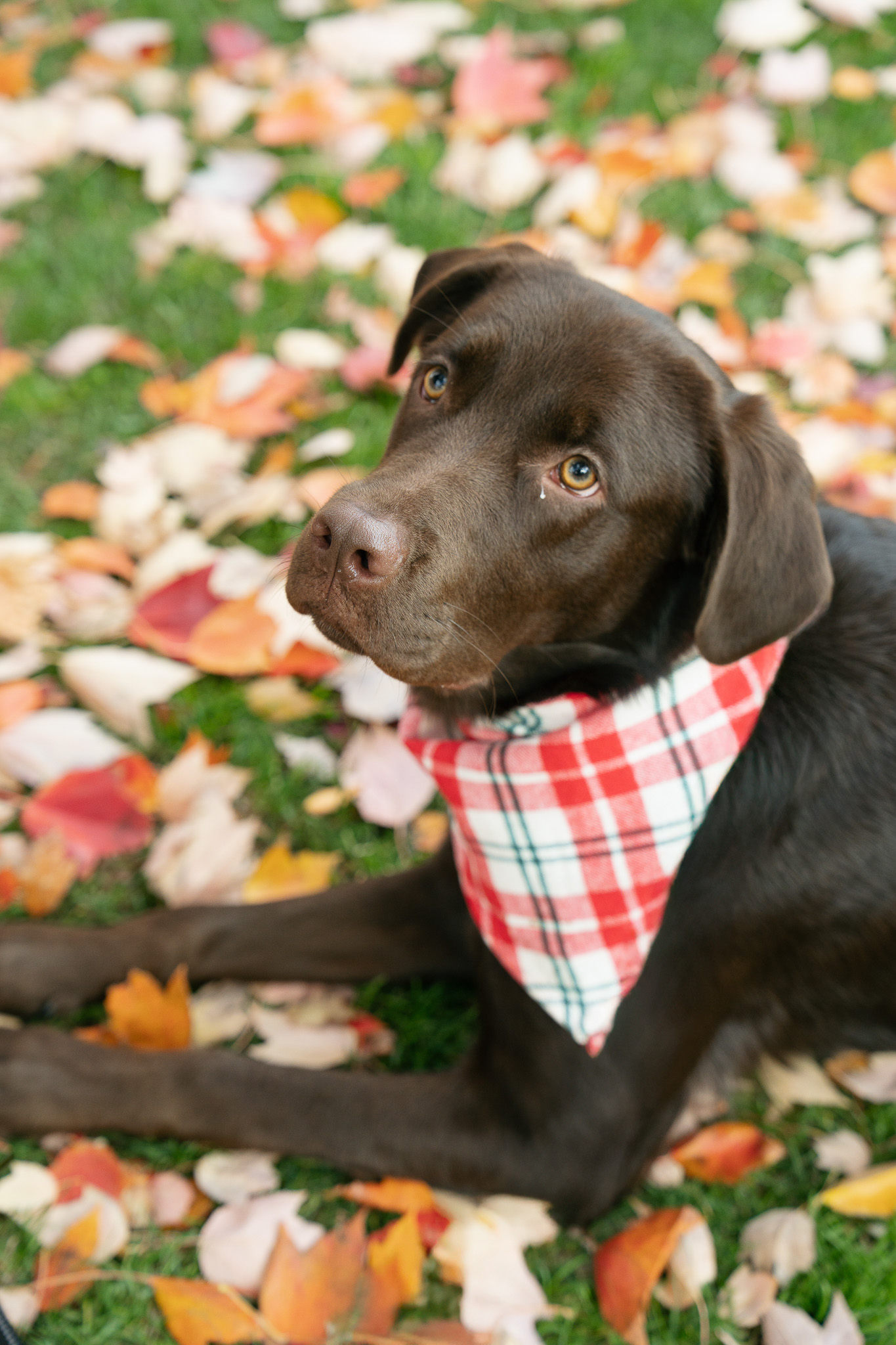 Playing in the garden