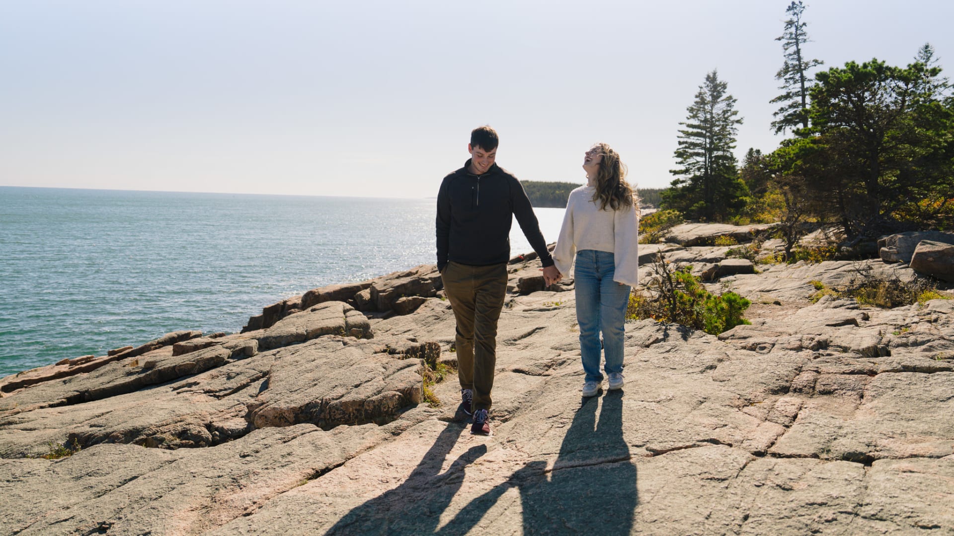 Engagement at Acadia