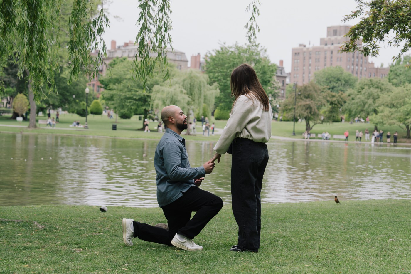 Wide view of JJ proposing at the Boston Public Garden