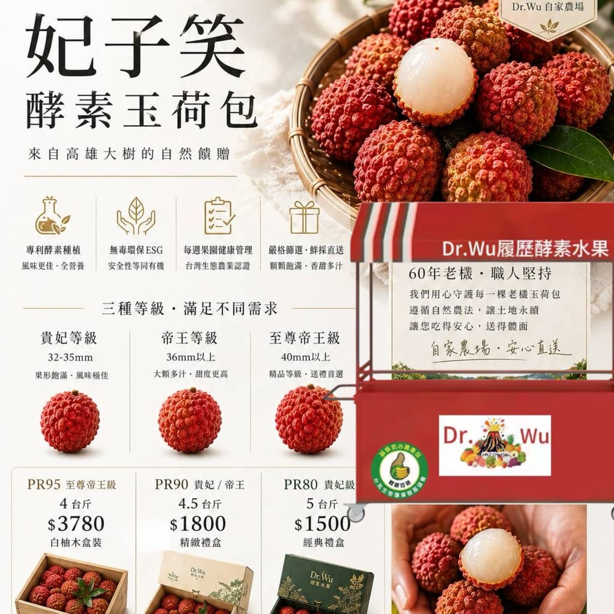 介紹圖片