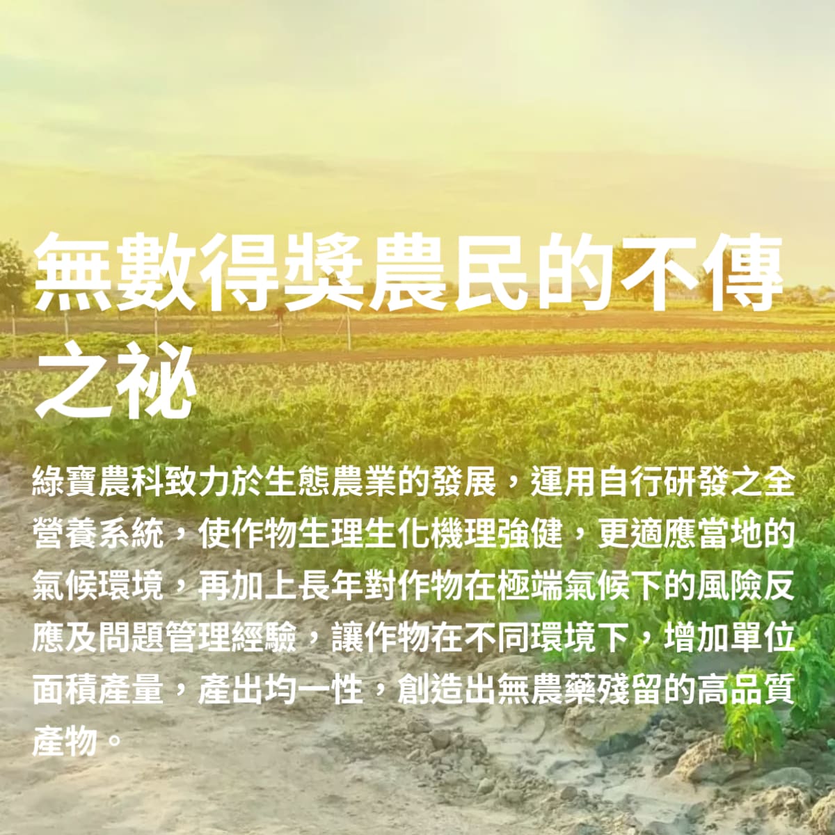 介紹圖片