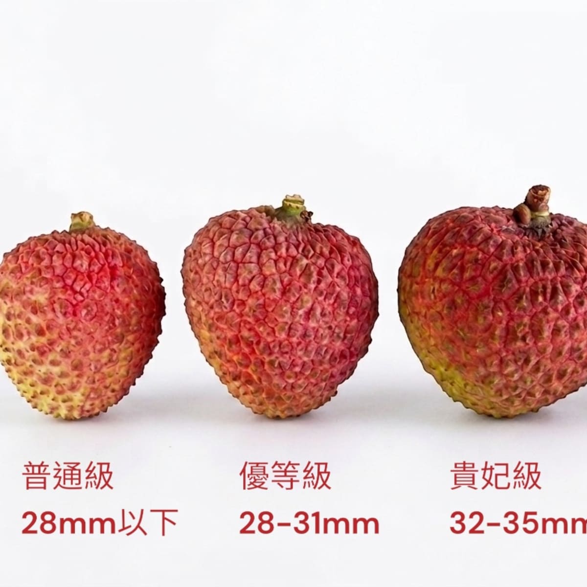 介紹圖片