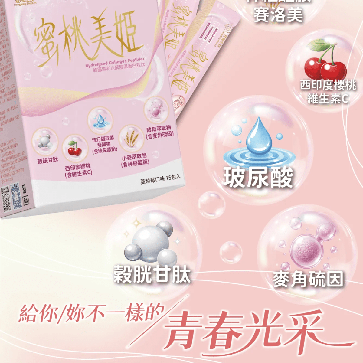 介紹圖片