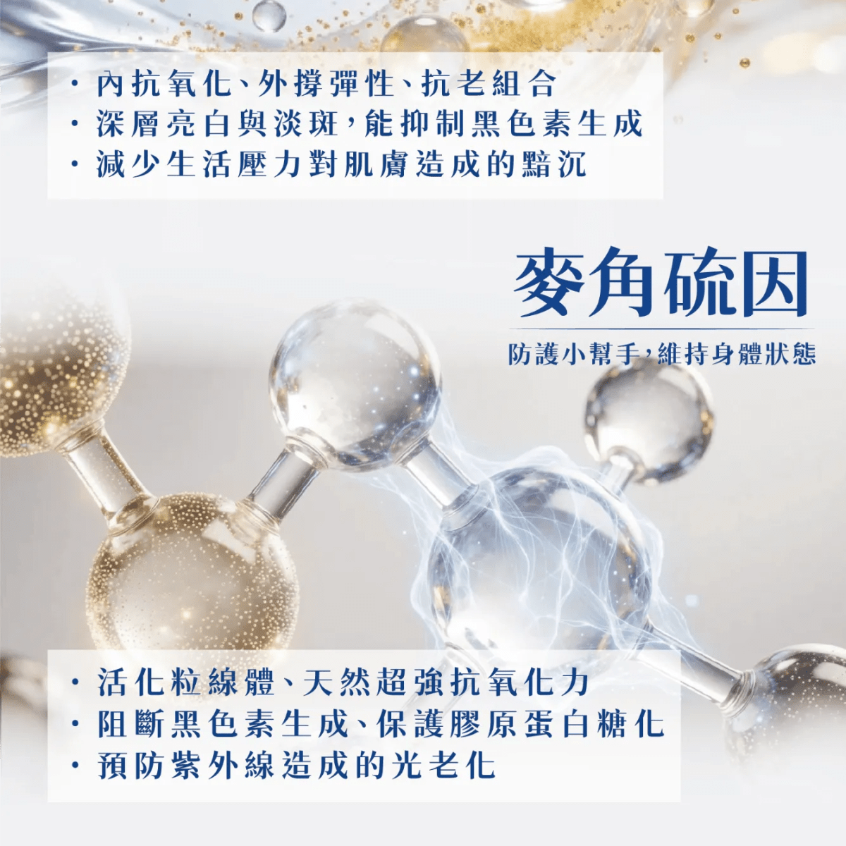 介紹圖片