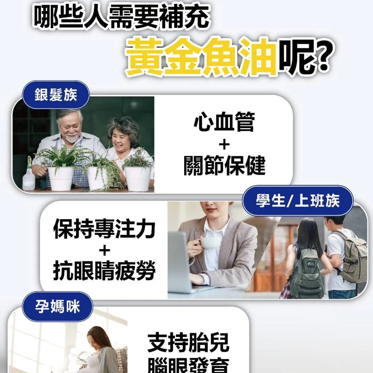 介紹圖片