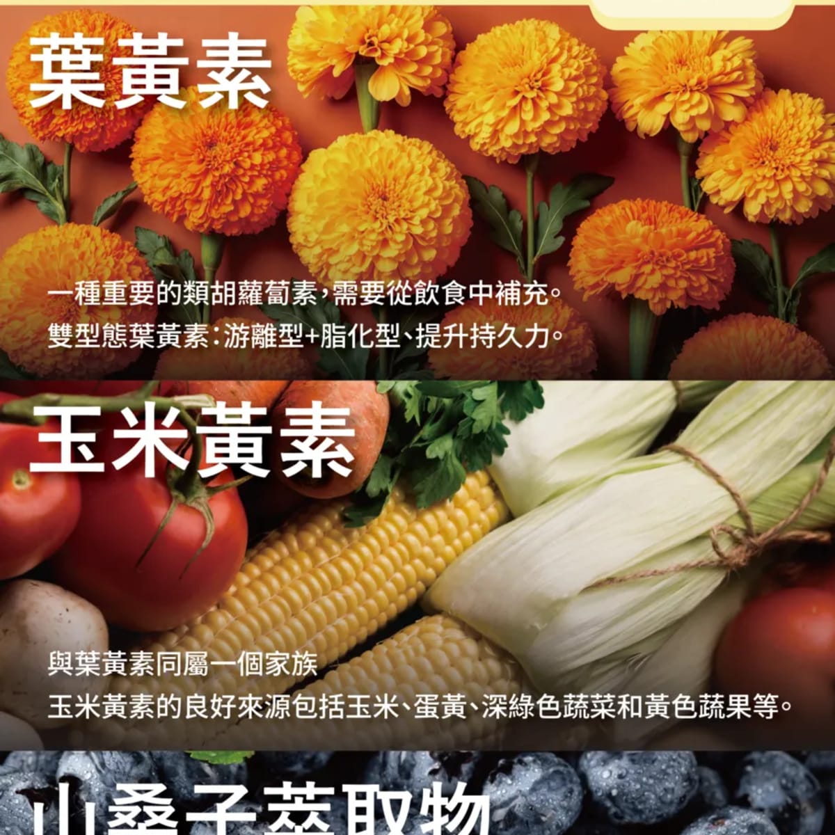 介紹圖片