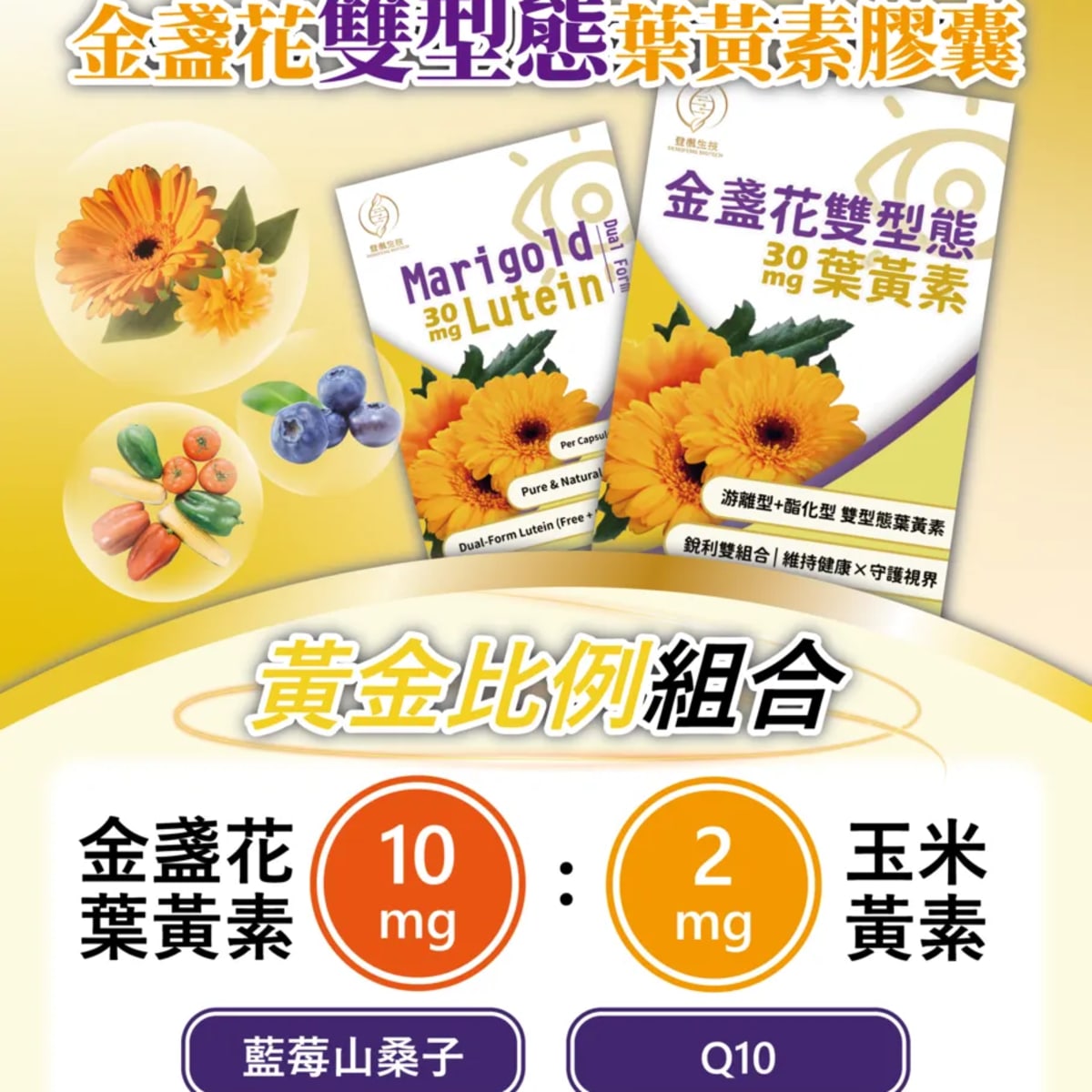 介紹圖片
