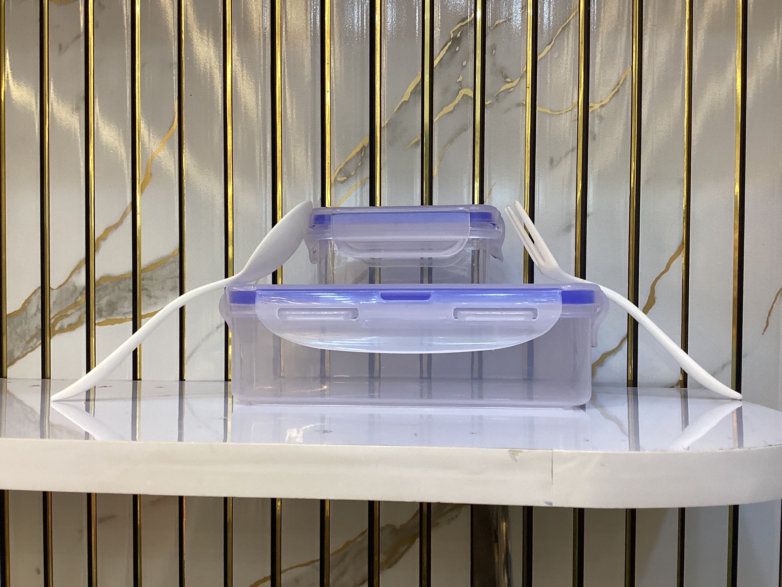 Lock N Seal Transparent Plastic Lunch Box