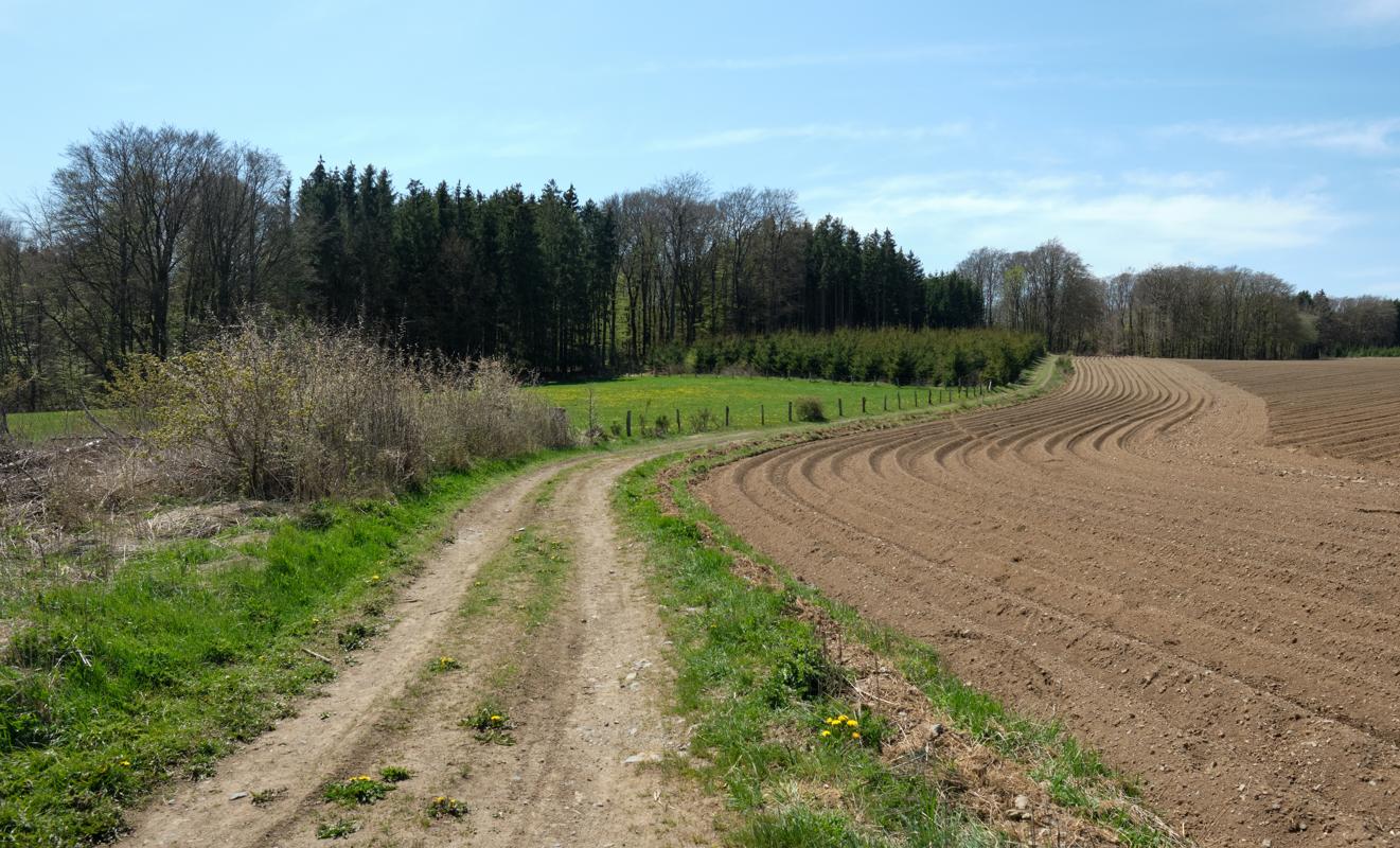 3-20210509_121445_YAPI1845.jpg