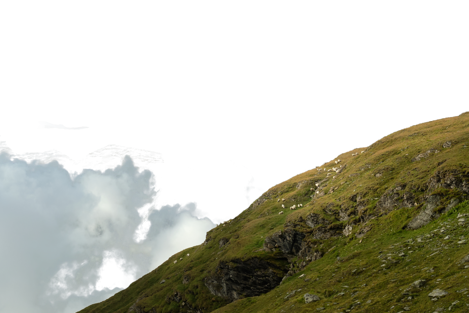 layer2