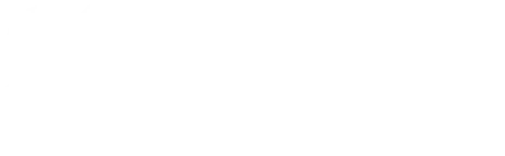 Partner 1