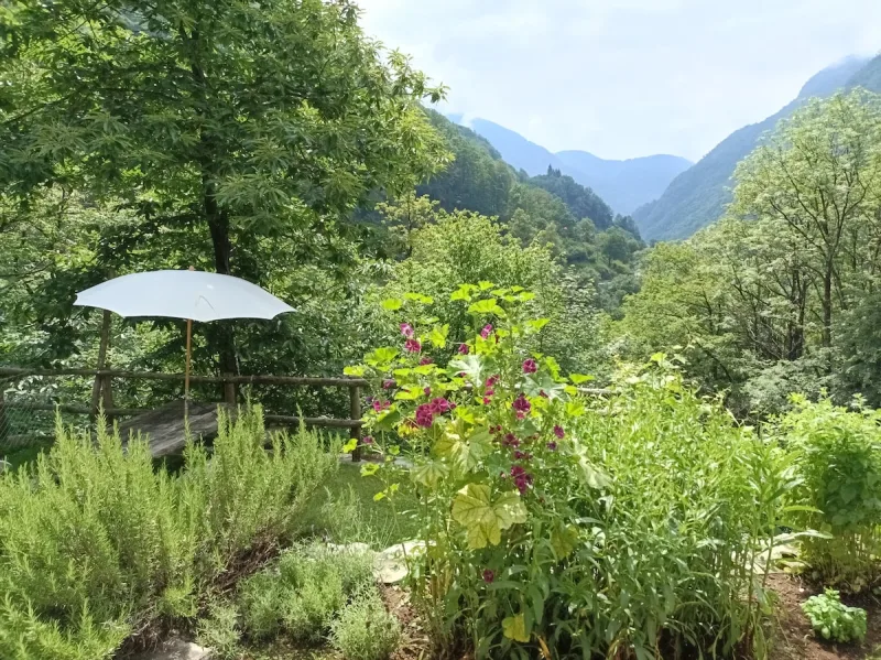 Rustico with mountain backdrop