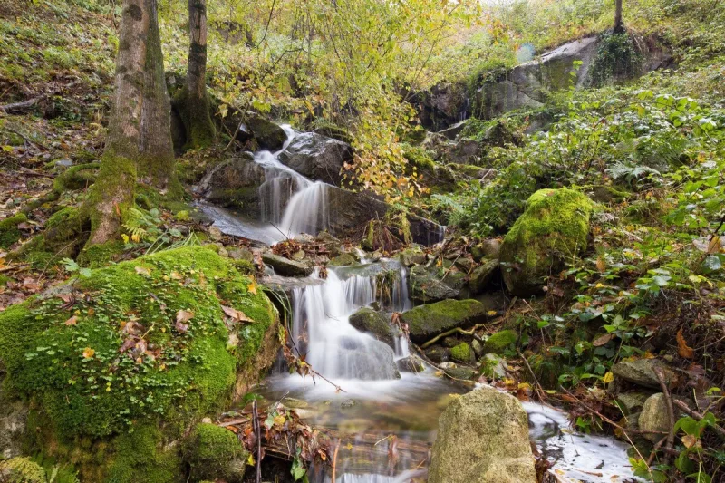 Evening view of the rustici