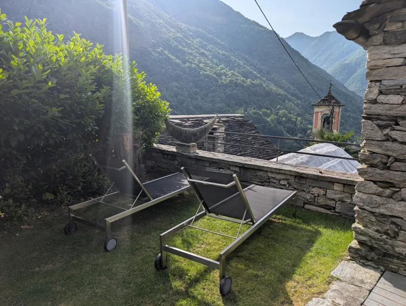 Stone steps in garden