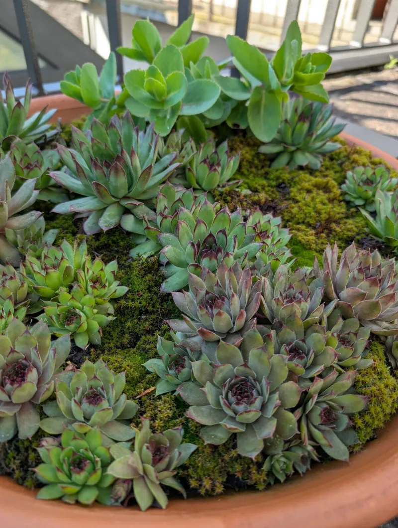 Terrace seating with valley view