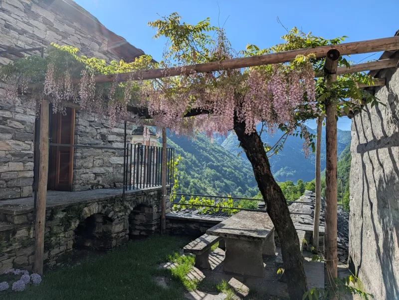 Garden terrace with succulents