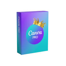 Canva Pro 3