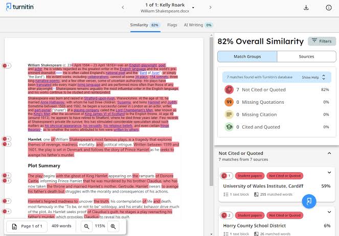 Turnitin (Plagiarism Checker) for Research, Assignment, Term Paper, Report etc  thumbnail 3