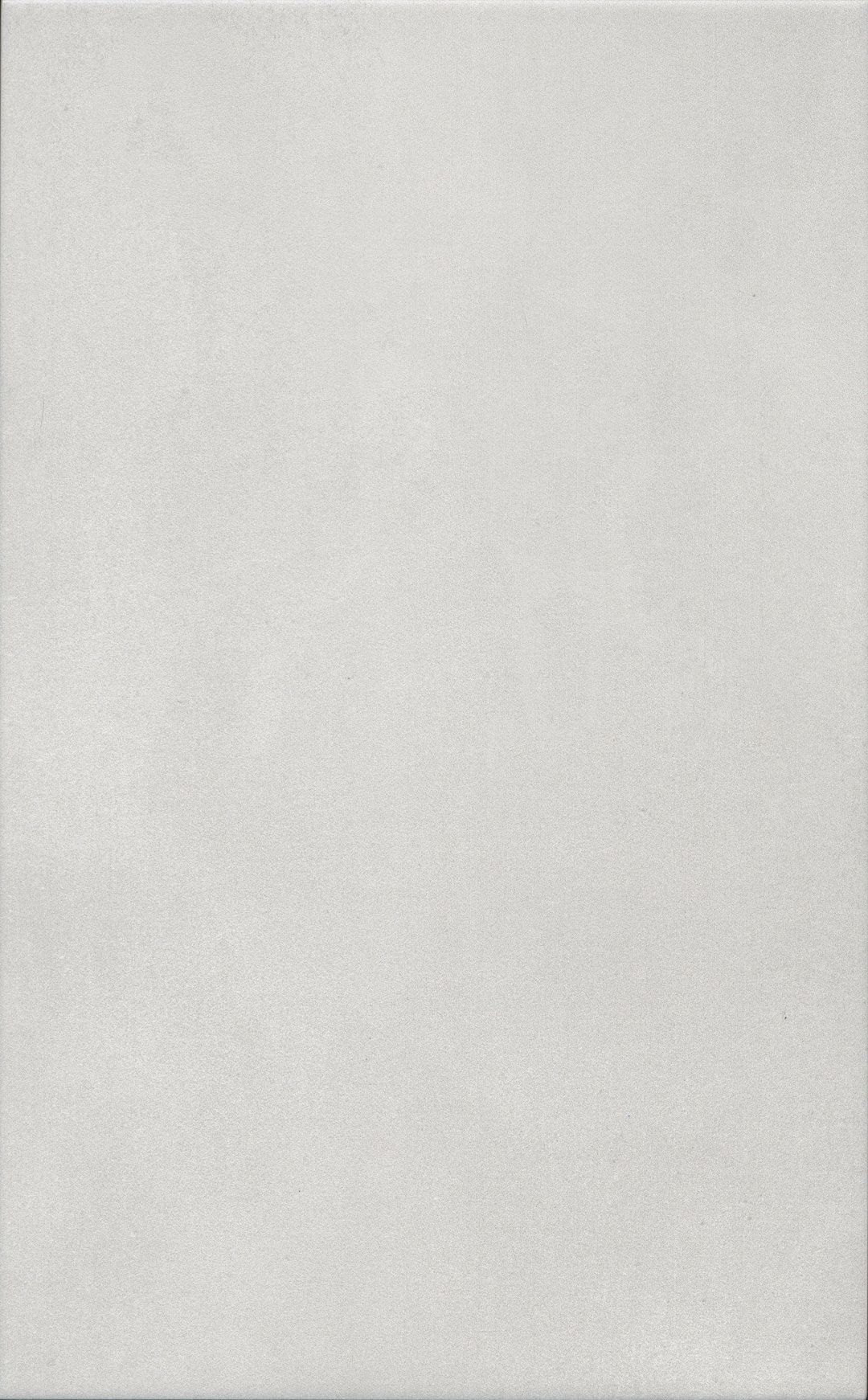 Корредо серый светлый матовый 25x40x0,8 Серый 25x40 купить СПб