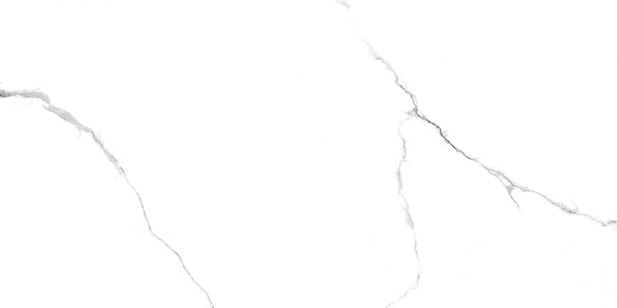 Керамогранит R 120*60 BIANCO VENATINO 46,08кв.м 1с Микс 60х120 купить СПб