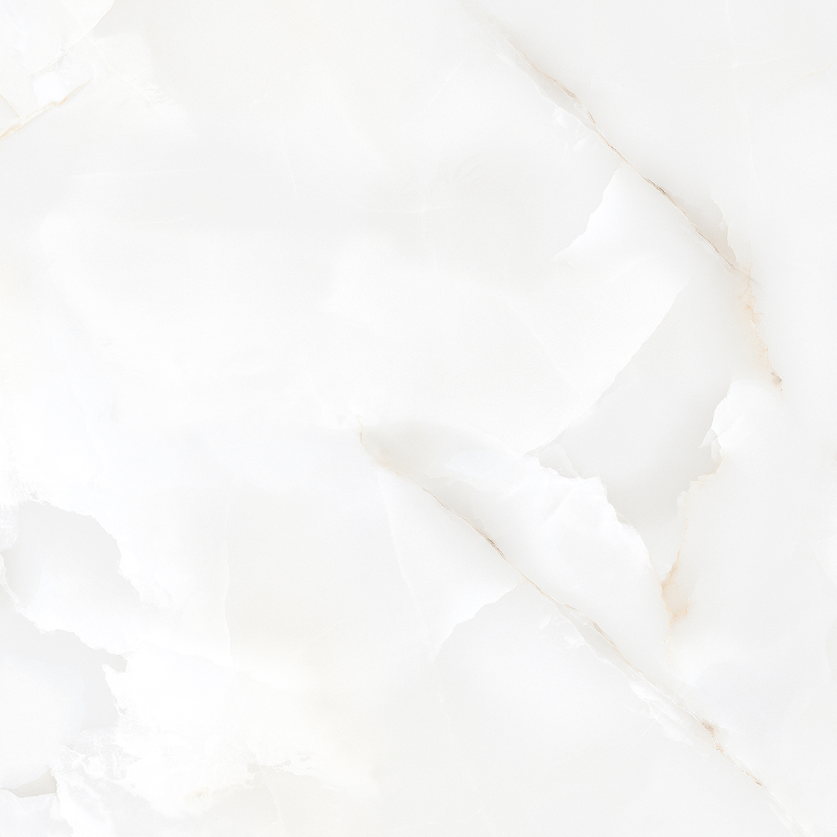 Керамогранит R 120*60 ONYX PEARL 46,08кв.м 1с Микс 60х120 купить СПб