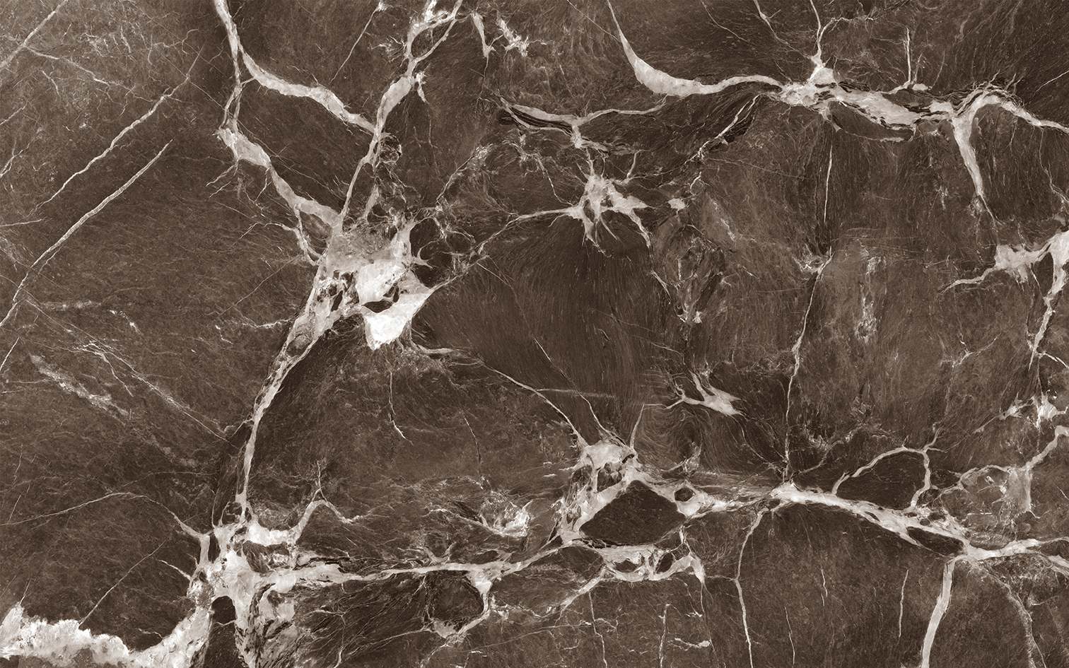 Капелла кор низ 04 Коричневый 250х400 купить СПб