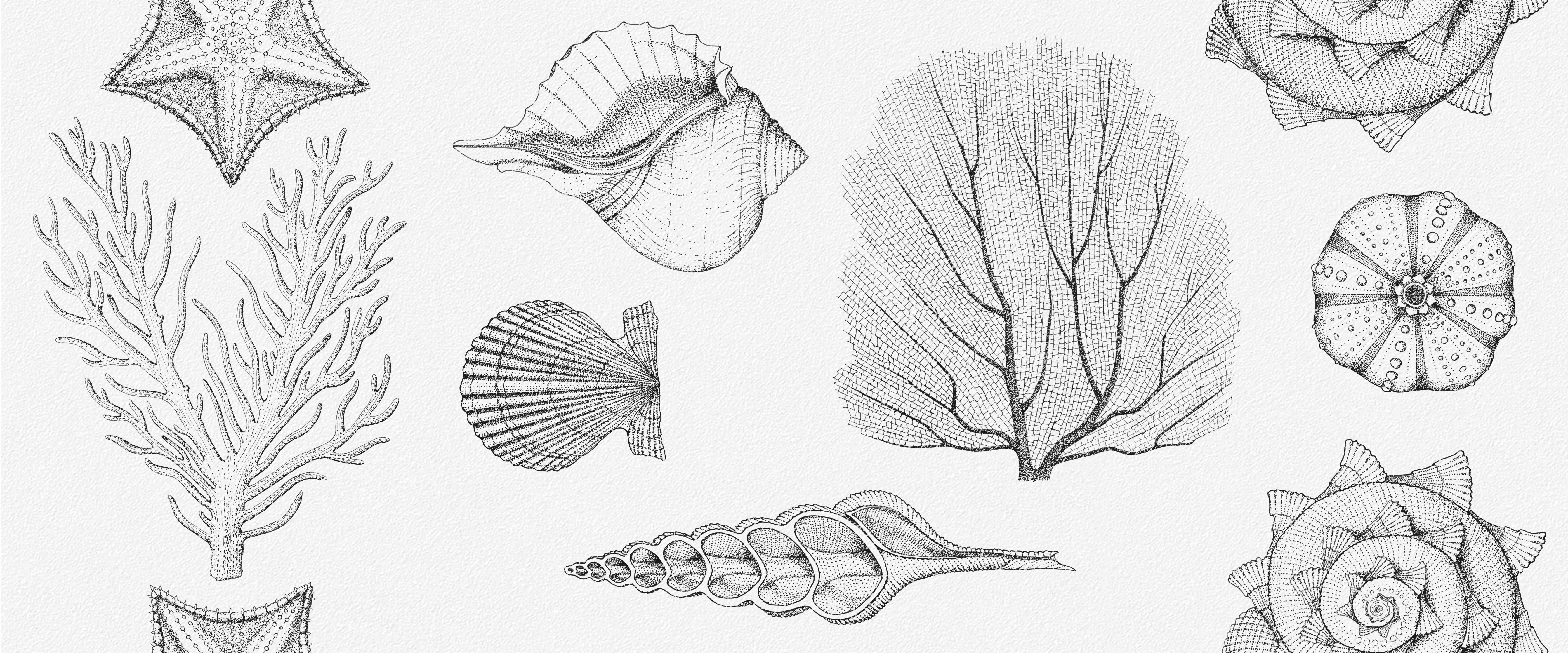 Aqua white wall 01 Белый 250х600 купить СПб