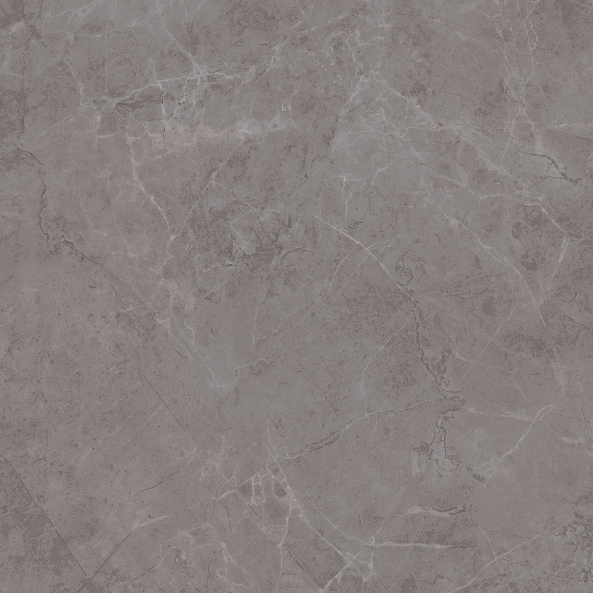 Керамогранит SG457300R Гран Пале серый обрезной 50,2x50,2x0,95, Kerama Marazzi (Керама Марацци) серый купить СПб