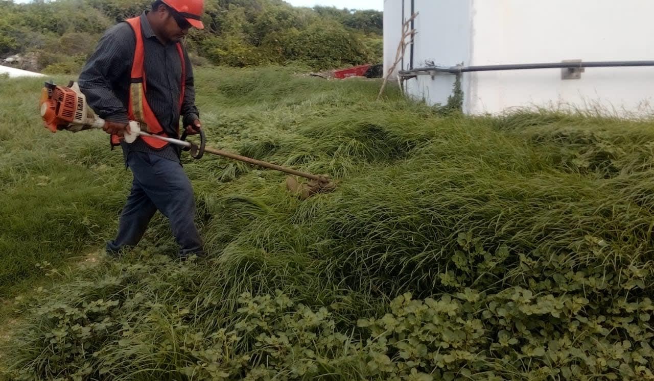 Trabajador de Garden Clean podando césped