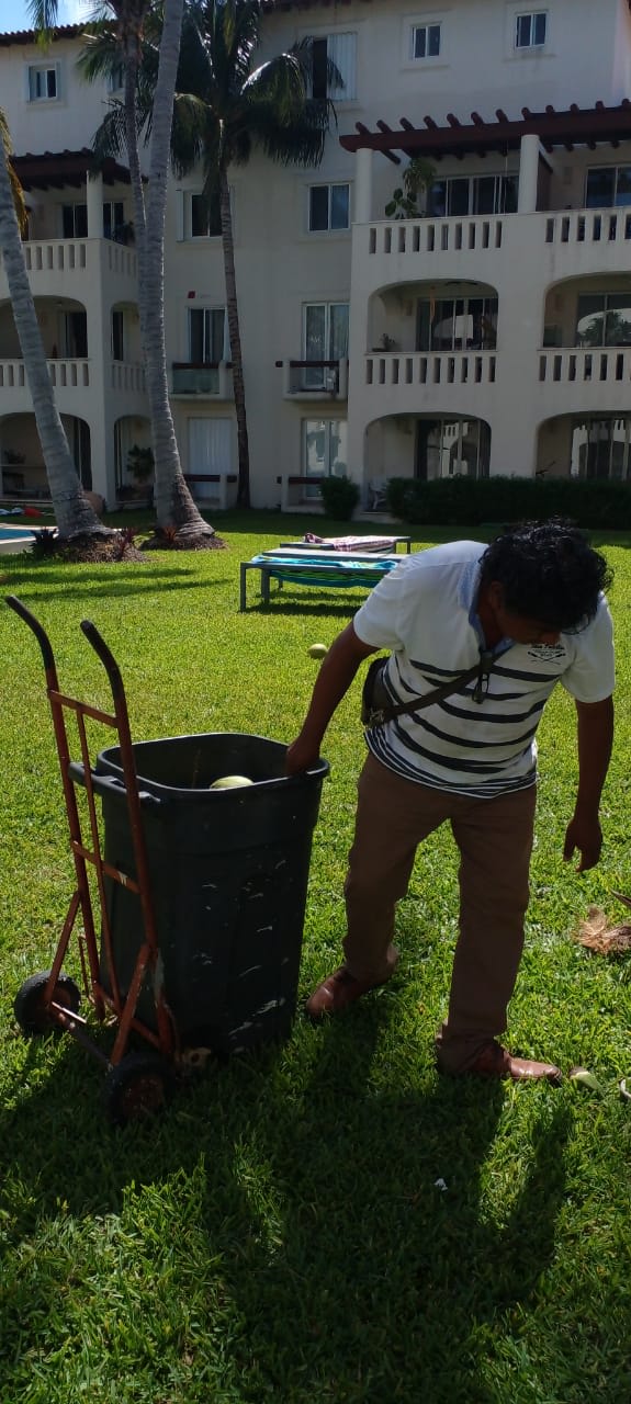 Servicio de jardinería en Cancún