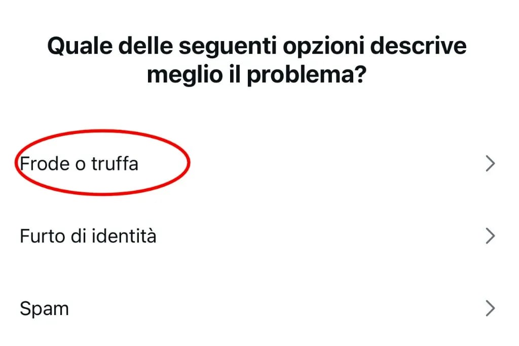 Schermata quale opzione descrive meglio il problema con Frode o truffa
